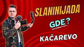 SLANINA je iz RAJA izašla | Slaninijada, Kačarevo