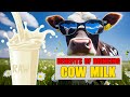 Top 6 Effective Cow Milk Benefits