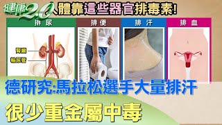 德研究：馬拉松選手大量排汗 很少重金屬中毒 健康2.0