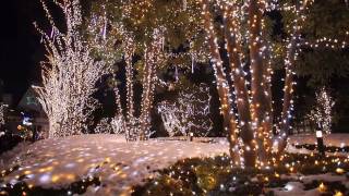 新宿テラスシティ イルミネーション'13-'14 - Shinjuku Terrace City Illumination '13-'14