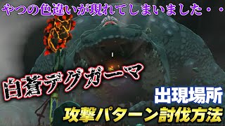 【ティアキン攻略】地底ボス「白蒼デグガーマ」出現場所、攻撃パターン討伐方法解説【ティアーズオブザキングダム】