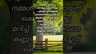 നമ്മളെ വിഡ്ഢിയാക്കുന്നവർ #youtubeshorts #malayalam #motivation #emotional #quotes #life #shorts #sad