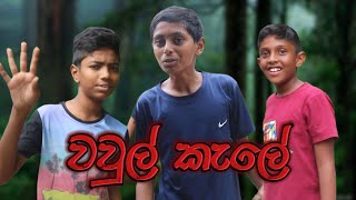 අපිට කැලේ ඇතුලින් ගෙදරක් හම්බ උනා @hydetproduction