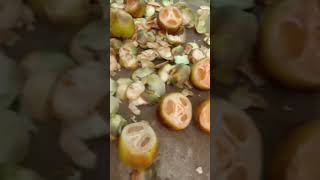 #கோடை வெயிலுக்கு இதமான #நுங்கு #food #shortvideo