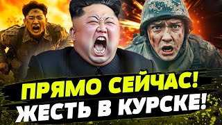 🚨 ШОК! КРЕМЛЬ БЕЗ СИЛ, А КНДР ВЫСАЖИВАЕТСЯ В КУРСКЕ! ЧТО ПРОИСХОДИТ С АРМИЕЙ РОССИИ?!