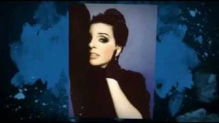 LIZA MINNELLI love pains