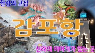 감포항Gampo Port  재래시장, 해국길, 송대말, 감포항 밤풍경,  해상공원에 엄청난 모래포대들이? 맛이 없으면 주인에게 얘기하고 맛이 있으면 이웃에게 얘기해주세요.