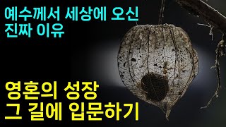 영적 성장의 여정에 입문하기