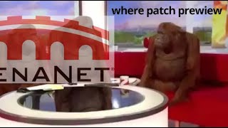 Lack of patch preview and subsequent elephants in the room [GW2]