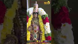 நாகப்பட்டினம் ஸ்ரீ சௌந்தரராஜ பெருமாள் திருக்கோயில் மாசி மாதம் பிறப்பு பெருமாள் புறப்பாடு #shorts