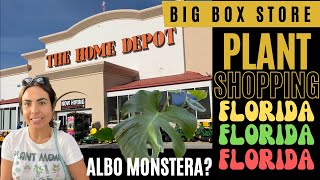 BIG BOX PLANT SHOPPING IN FLORIDA!!! PLANT ALERT!!! ALBO MONSTERA FOR $14.99?!? 😲 CISSUS DISCOLOR!!