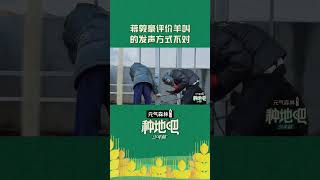 中国好声音冠军#蒋敦豪 的羊发声怎么能跑调呢！看敦敦在线教学小羊正确发声方式  | #种地吧 #BecomeAFarmer | iQIYI综艺