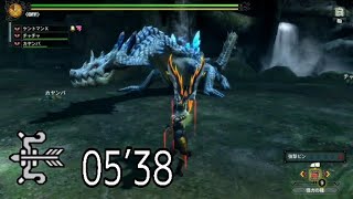 【MH3G】G級ラギアクルス亜種 5分38秒 弓 オトモ有