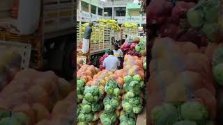 Hosur vegetable market price -7.2.25#vegetables #market #trending #ytshorts #yt #instagram #reels