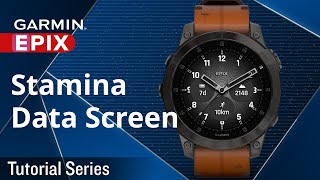 Tutorial – epix: Stamina Data Screen
