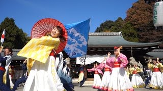 高知工科大学よさこい踊り子隊　龍馬よさこい 2016.11.13