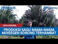 Produksi Sagu Mama mama Moisegen Sorong Terhambat, Hutan Dibabat buat Kebun Sawit Picu Banjir