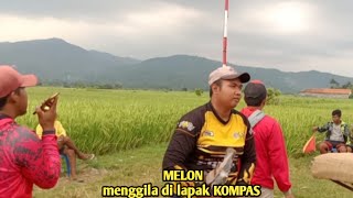 Lomba merpati kolong||babak 4 - final lapak Kompas||