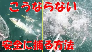 【サワラ ジギング】必見！切られない、バラさない寄せ方。