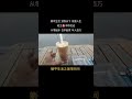 躺平生活之 咖啡时间~越南河内西湖畔 旅行 coffee