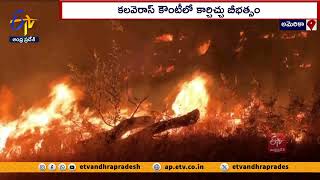 కాలిఫోర్నియాలో కార్చిచ్చు బీభత్సం | Wild Fire Erupted in California | Evacuations to Safe Places