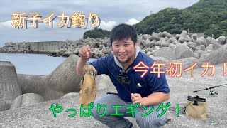 【新子イカ釣り】秋イカを釣りに行ったら思ってた以上の大きさ！？