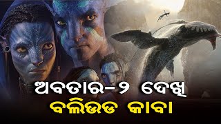 ଅବତାର-2 ଦେଖି ବଲିଉଡ କାବା  | Odisha Reporter