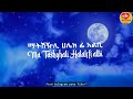 ሀቢብቲ habibti حبيبتي new ethiopia music lyrics video