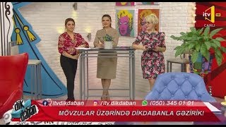 Dikdaban - 07.02.2019