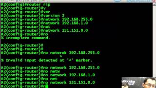 #CCNA【1.2.16】初级/路由配置应用/ 连接运用各种路由协议公司网络