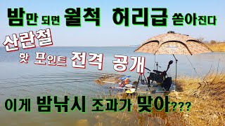 밤만 되면 월척 허리급 쏟아진다 산란철  핫 포인트 전격 공개  이게 밤낚시 조과가 맞아???