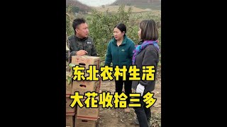 #东北农村生活vlog #新农人计划2024 #新鲜采摘 #大山里的味道 #丰收的季节