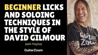 Beginner Licks and Soloing Techniques In The Style Of David Gilmour by Steve Stine