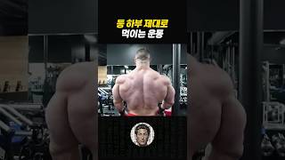 광배근 하부 제대로 키우는 운동