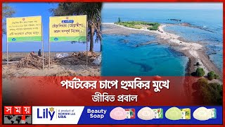 ছেঁড়া দ্বীপ ভ্রমণে নিষেধাজ্ঞা মানছেন না কেউ | Chhera Dwip | Saint Martin | Teknaf | Somoy TV