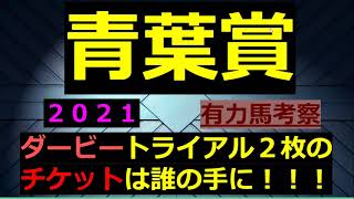 【青葉賞２０２１　有力馬考察】ダービーの出走権２枚をかけて激戦を勝利するのは！！