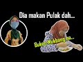 Cikgu Ika - AZ Pekasam