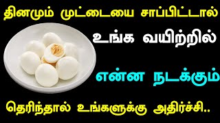 தினமும் முட்டையை சாப்பிட்டால் உங்க வயிற்றில் என்ன நடக்கும் தெரிந்தால் உங்களுக்கு அதிர்ச்சி | Egg