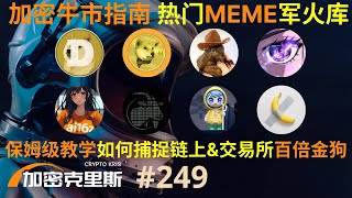 2024加密牛市指南，热门MEME军火库，保姆级教学如何捕捉链上\u0026交易所百倍金狗，带你抓住下一个松鼠【加密克里斯 第249期】