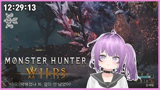 5분침 이었던 것 ㅣ 몬헌 와일즈 ㅣ 알슈베르도 활 토벌 ㅣ Arkveld bow solo 12:29:13