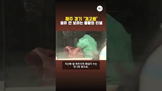 제주 경기 '경고등' 끝이 안 보이는 불황의 터널