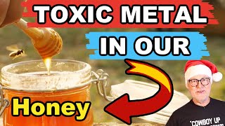 Beekeeping Reveals Toxic Metals In Our Honey!!