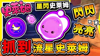 【史萊姆農場 模組】來自星星⭐星閃閃史萊姆 !! 官方隱藏ㄉ【神秘史萊姆😂】我用Mod讓它重現了!! 吃東西居然給【特殊道具】!! 中文劇情《Slime Rancher Mod》全字幕 !! 第十季