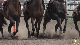The Kentucky Derby - Attend for Less | Inside the Kentucky Derby 🏇 Millionaire’s Row