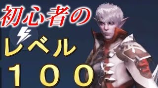 初心者がレベル１００でエリートダンジョンに行ってみた【リネージュ２ レボリューション】検証　実況