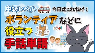 【手話単語】ボランティアなどに！病院、病気、風邪、症状、痛い、めまい、医者、女医、くすり、救急車、医療関係など。少し難しいですが、覚えてほしい手話単語！今日はこれだけ覚えてください！【中級レベル】