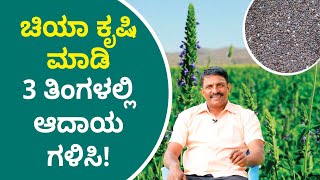 Chia Farming Course in Kannada - How to Start a Chia Seeds Farming? | Financial Freedom App