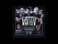 El gatito de mi ex remix