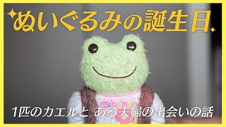 ぬいぐるみの誕生日を祝って｜かえるのピクルスとの出会い、家族の一員として。