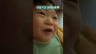 낮잠을 자는 건지 아빠 코고는걸 따라하는 건지... 장난꾸러기일상 #연년생형제 #아기 #육아일상 #baby #아들둘 #장난꾸러기 #코하기 #낮잠시간